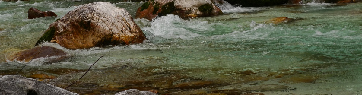 Fluss (c) Marlies Meyer